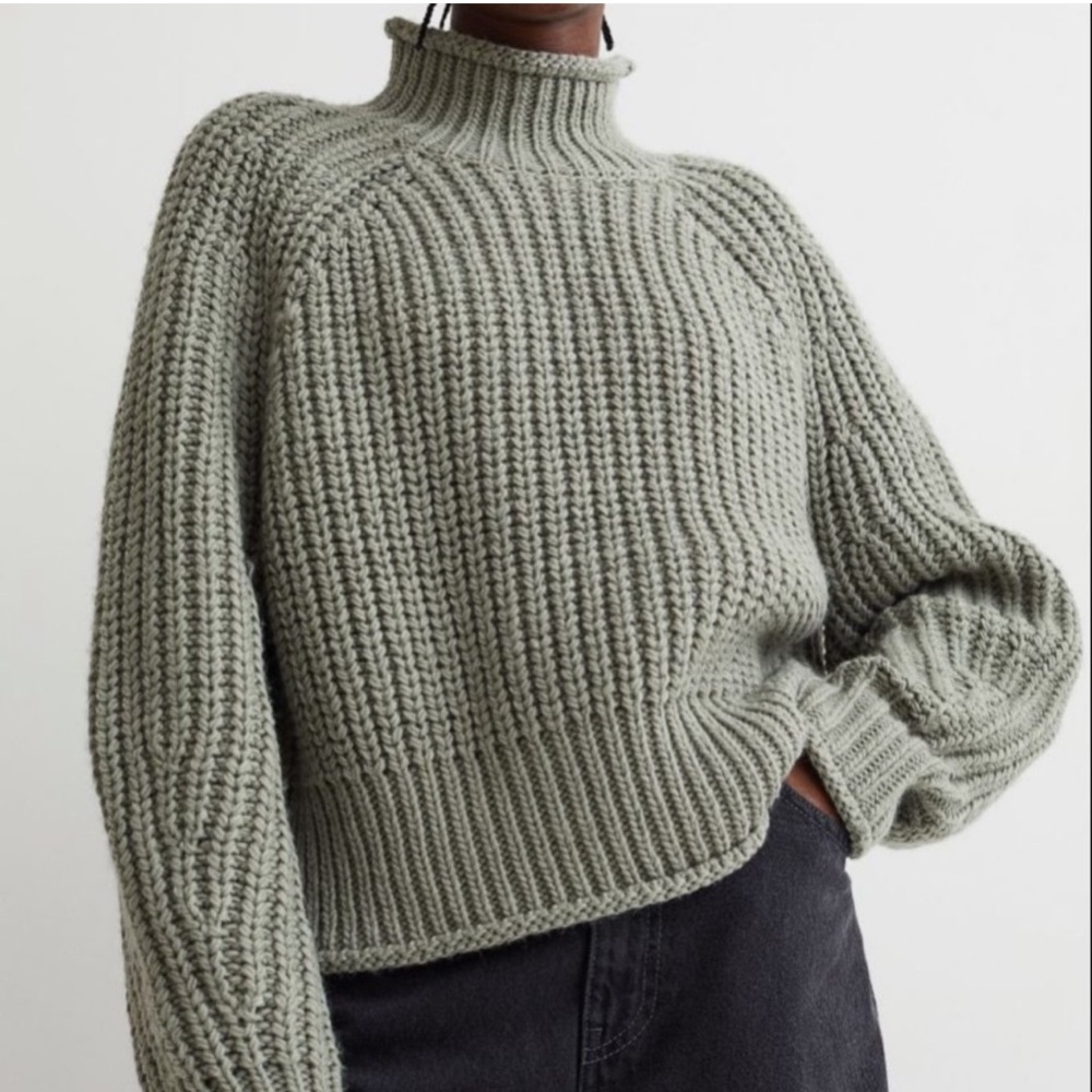 H&M Chunky Knit Turtleneck